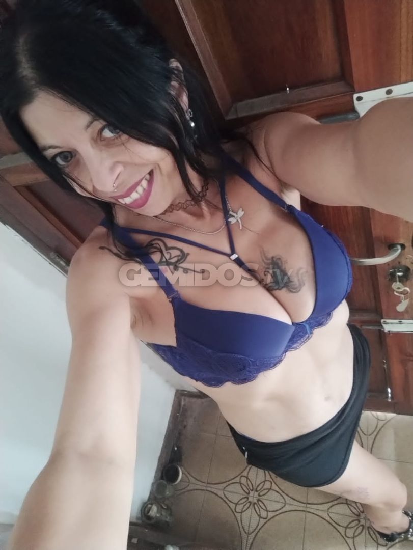 Sol ZS