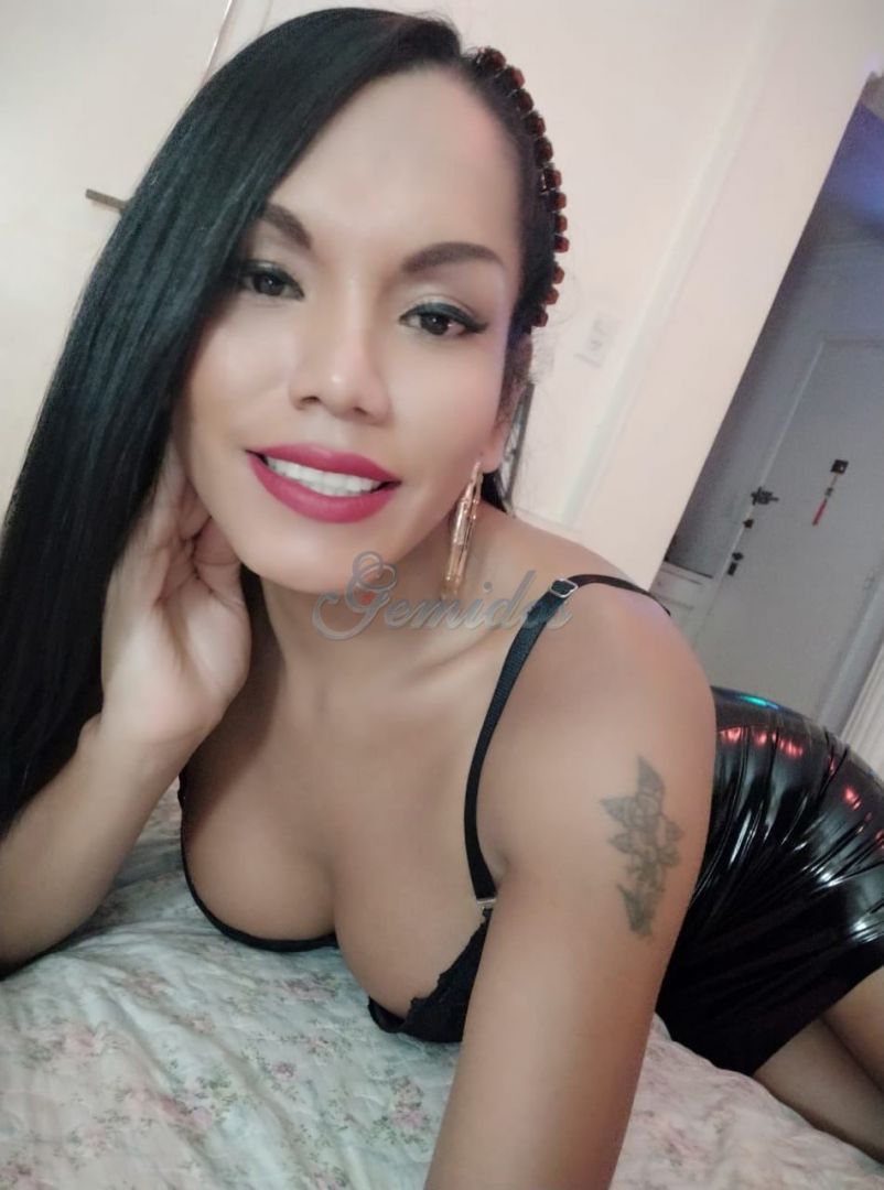 Alexa Trans