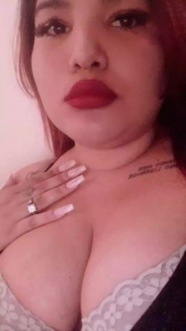 Dama ZN