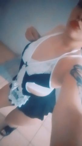 Nicol ZS