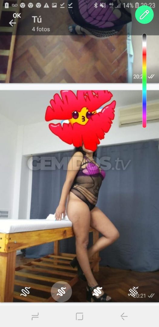 Ludmila ZN