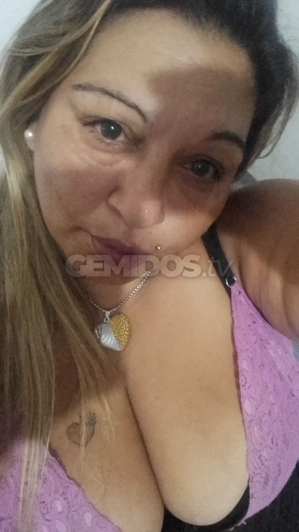 Solcito ZN