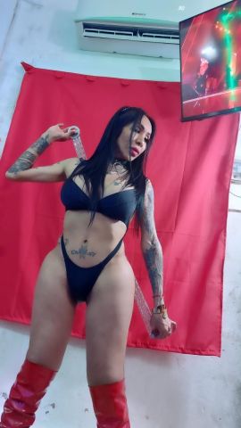 Dana Trans ZN