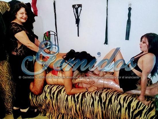 Mistress Sofia MDP
